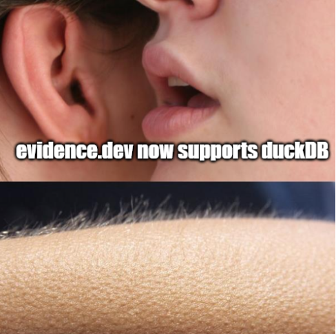 A whisper in the Ear saying Evidence supports DuckDB